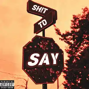 Picture for song 'SH!T TO SAY (feat. Tripp)' by artist 'beats420'