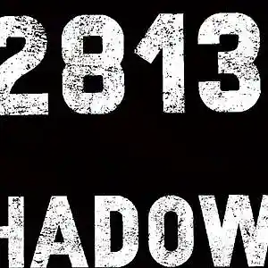 Picture for song 'Shadows' by artist 'BEATZ By 2813'