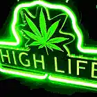 Picture for song 'The High Life *HIT SINGLE*' by artist 'FisherOnTheBeat'