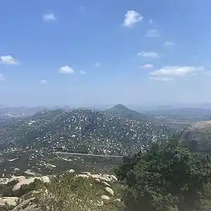 Picture for song 'Birthday Hawk' by artist 'Gagmesharkoff'