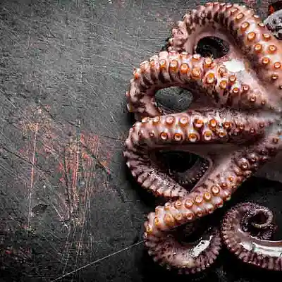 Picture for song 'OCTOPUS (edit)' by artist 'Michael Tmusic'