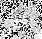 Picture for song 'Retro time' by artist 'varvara.jdanova'