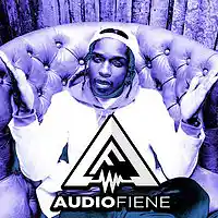 Picture for song 'Wildin' by artist 'Audio Fiene'