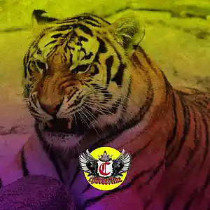 Picture for song 'PHLEGMATIC (The Kid LAROI Type Beat)' by artist 'Chorderline'