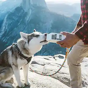 Picture for song 'SAVE ME' by artist 'DanoeBeatz'