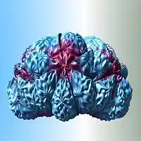 Picture for song 'Funky Other Thing' by artist 'Dar Shelton'