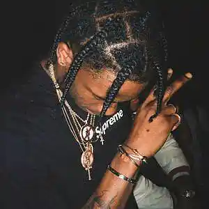 Picture for song '"Crisis" Travis Scott x Drake Type Beat' by artist 'Osaru Beatz'