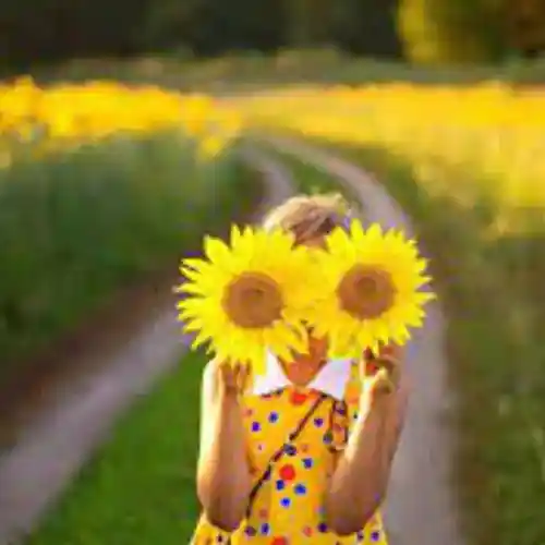 Picture for song 'sonvazcheh' by artist 'sonvazik'
