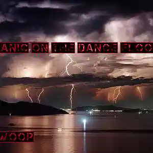 Picture for song 'panic on the dance floor (remix)' by artist 'Swoop'