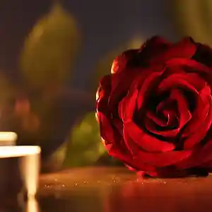 Picture for song 'A Bed Of Roses' by artist '2uo7rax'