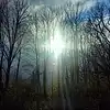 Picture for song 'Wait And See' by artist 'AuDioChosis - Steven F. Allen - AuDio MiRage'