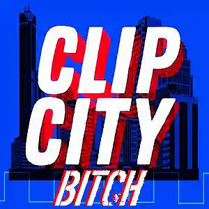 Picture for song 'Clip City Bitch!' by artist 'BASSOTRONICS'