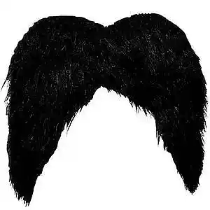 Picture for song 'Disco_Moustache' by artist 'Florian Gleisberg'