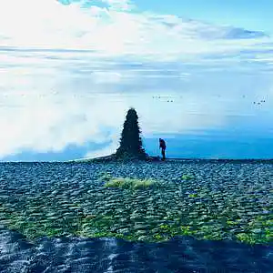 Picture for song 'L'Ars de Bruit' by artist 'LARZNEW'