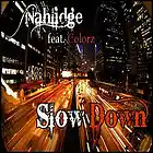 Picture for song 'Slow Down feat. Colorz (Prod. By J.R.)' by artist 'NahlidgeEIE'