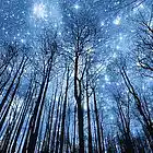 Picture for song 'In Heaven Like on Earth - web' by artist 'Oksana Angel Official'