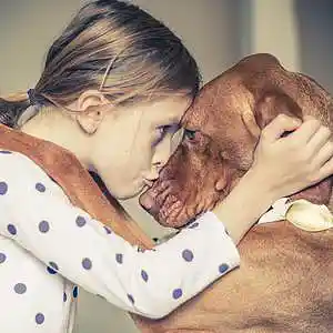 Picture for song 'If I Should Lose You' by artist 'Ucancallmeal'