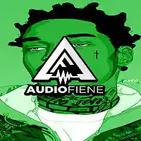 Picture for song 'Try' by artist 'Audio Fiene'