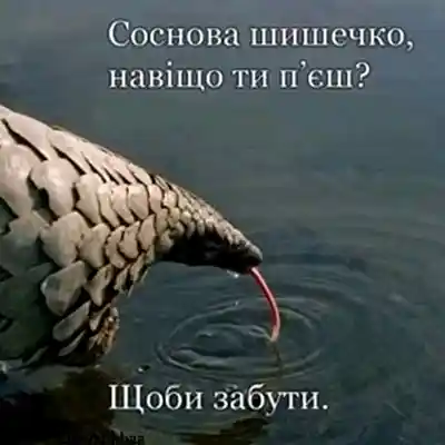 Picture for song 'Погружаюсь' by artist 'Az99'