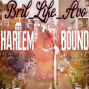 Picture for song 'HARLEM BOUND' by artist 'BriL-LifeAvo'