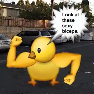 Picture for song 'DUCK THE HATERS Ringtone' by artist 'Jacky Jungle'