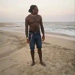 Picture for song 'Boss - Gunna Type Beat' by artist 'Jxck London'