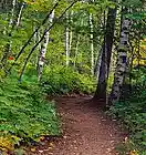 Picture for song 'Still Small Voice' by artist 'Onesimus'