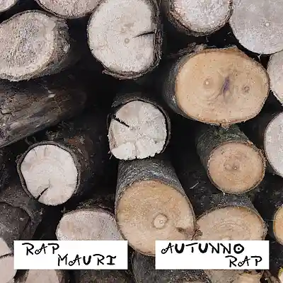 Picture for song 'Presente-Futuro' by artist 'Rap Mauri'