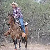 Picture for song 'Hes a natural' by artist 'Rocky Del Arnold'