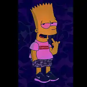 Picture for song 'Middle Fingers' by artist 'Shizzy The Young Rockstar'