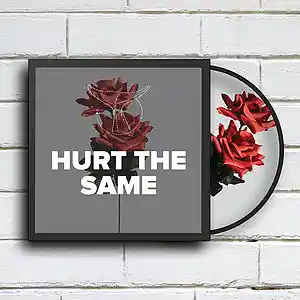 Picture for song '*NEW* Hurt The Same' by artist 'Whvle Sound'