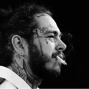Picture for song 'SINNER *Post Malone*' by artist 'XXXMAKEITBOUNCE'