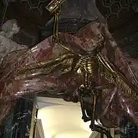 Picture for song 'Once A Bad Man' by artist 'Dial Tone Dead'