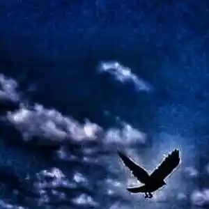 Picture for song 'Standing In Silence' by artist 'Err0r'