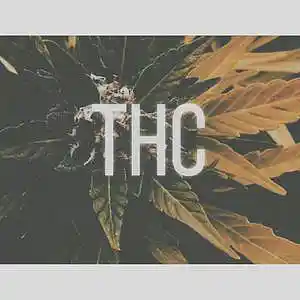 Picture for song 'THC' by artist 'InfiniteRealm'