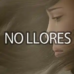 Picture for song 'NO LLORES' by artist 'Tiniwan'