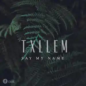 Picture for song '"Say My Name" Afro-Beat Type beat (Unmastered)' by artist 'Txllem'