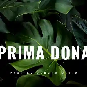 Picture for song 'Prima Dona - Reggae Instrumental (2023)' by artist 'Beats by Yahweh Music'