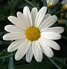 Picture for song 'One Day Closer' by artist 'Beth Jetton'