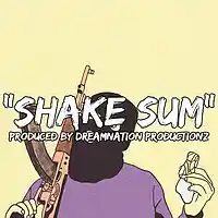 Picture for song 'Shake Sum (Zaytoven & Migos Style) ' by artist 'Dreamnation Productionz'