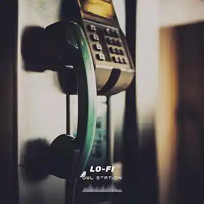Picture for song 'Disk Lofi' by artist 'Lo-Fi Owl Station'