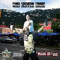 Picture for song 'Magnetic Emotional Bond' by artist 'REH DOGG'