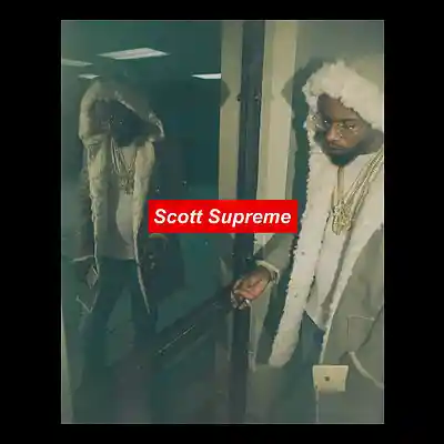 Picture for song 'PICTURE PERFECT (BUY 1 GET 1 FREE)' by artist 'Scott Supreme'