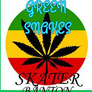 Picture for song 'Green Snakes' by artist 'Skater Banton'