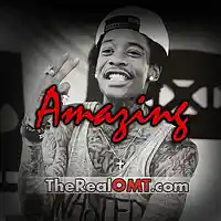 Picture for song 'Amazing' by artist 'TheRealOMT'