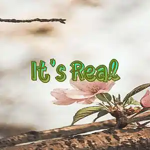 Picture for song 'Its Real' by artist 'Anac On The Beat'