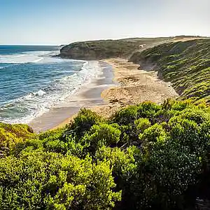 Picture for song 'Right Type (Instrumental)' by artist 'Denzlo'