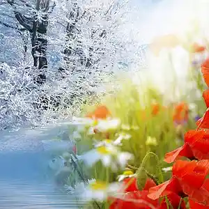 Picture for song 'BYE BYE WINTER , G'DAY SPRING' by artist 'Dr. Bob's Jazz - Benefit Boppin' Quartet - JBBQ'