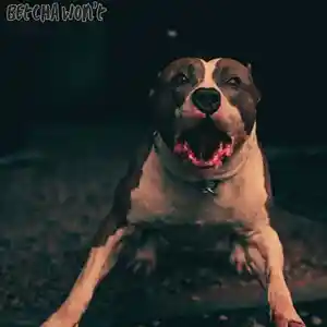 Picture for song 'Betcha_Won't' by artist 'EaselDBeats'