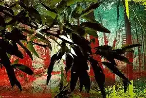 Picture for song 'Squier 5 string Vintage Mod Bass Heavy Test' by artist 'Falling With The Rain'